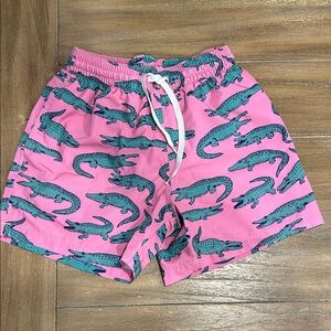 Chubbies Pink and Teal Kids Shorts